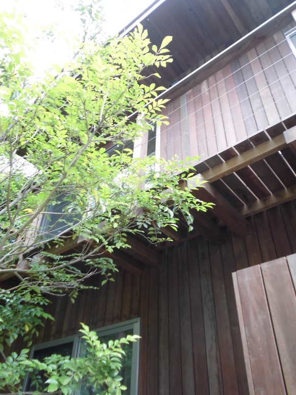 f0176387_22102292.jpg