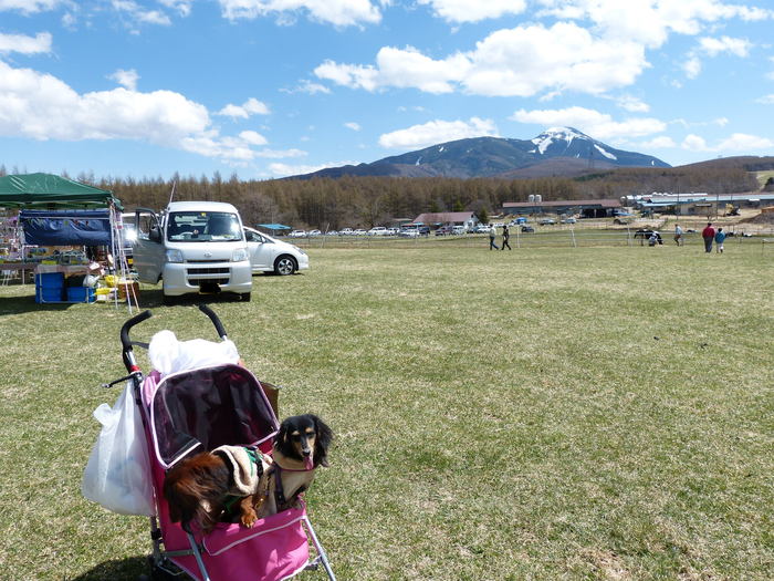 2013.5.2～5　蓼科旅行記　２_f0287487_19283617.jpg