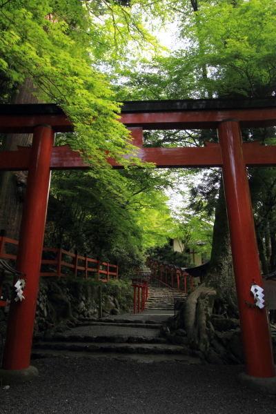 貴船神社_e0051888_4223699.jpg