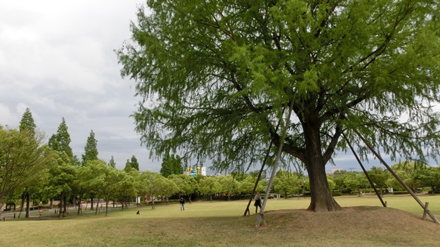 d0181492_23161038.jpg