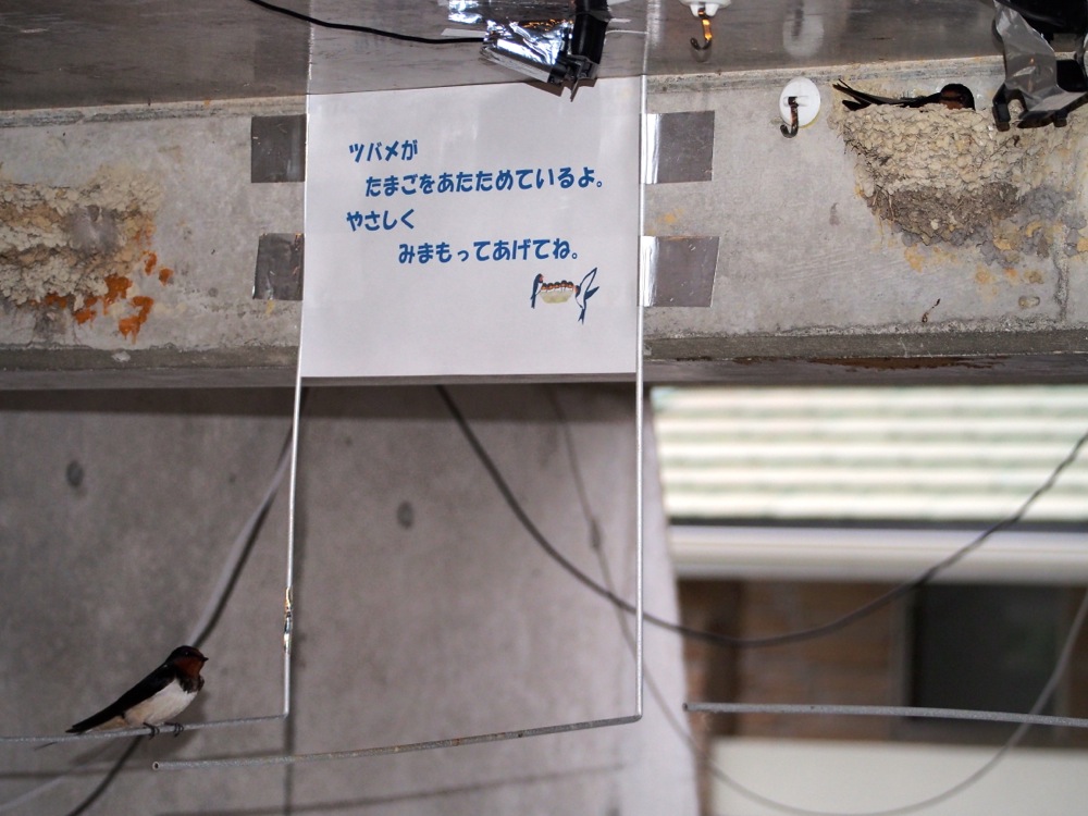 c0167798_0232422.jpg