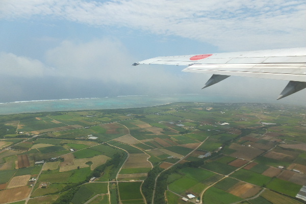 d0080998_22445821.jpg