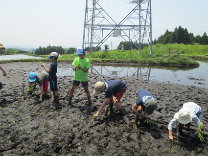 f0277400_8125142.jpg