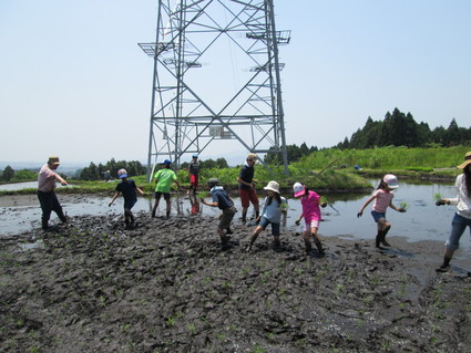 f0277400_8131676.jpg