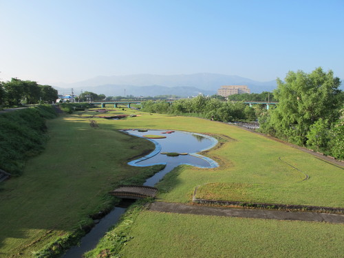 巣から飛ぶ燕くろし五月晴れ（９）_c0075701_22261566.jpg