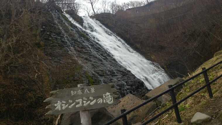 a0167308_801843.jpg