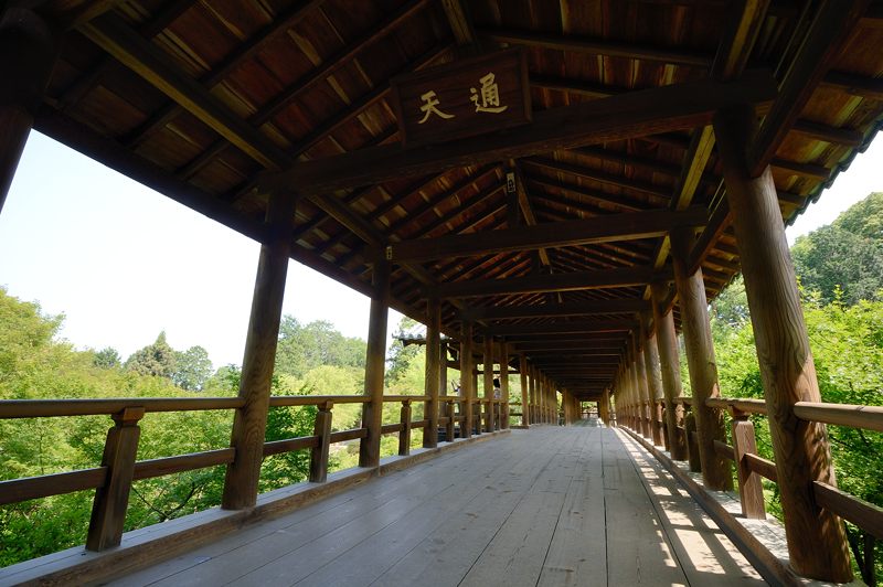 新緑巡り・東福寺 其の三_f0032011_18164049.jpg