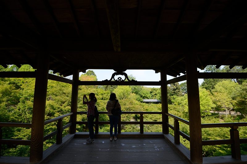 新緑巡り・東福寺 其の三_f0032011_1817150.jpg