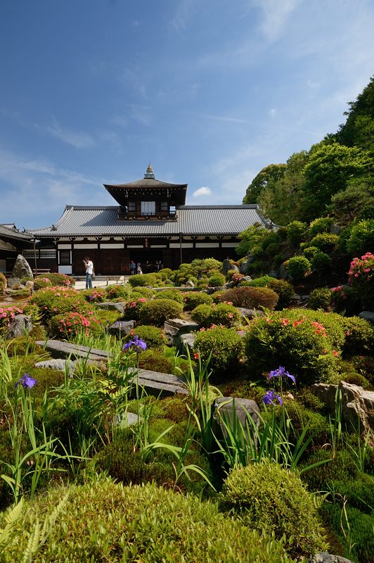 新緑巡り・東福寺 其の三_f0032011_18172156.jpg