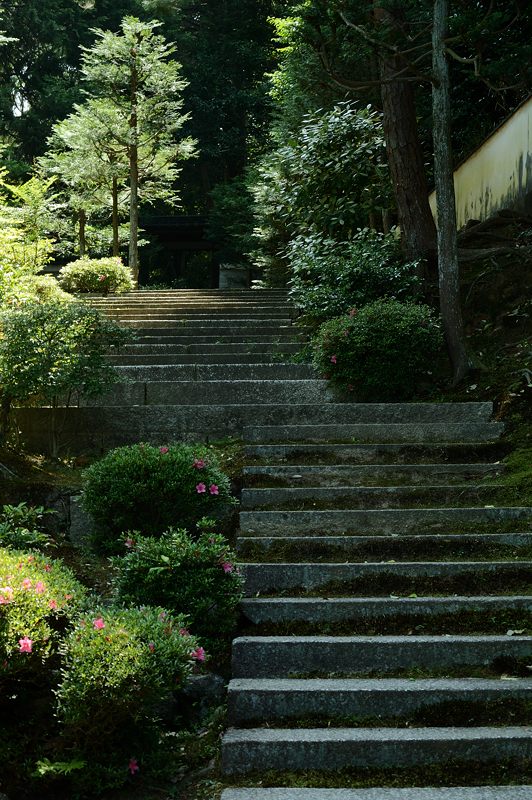 新緑巡り・東福寺 其の三_f0032011_18195212.jpg