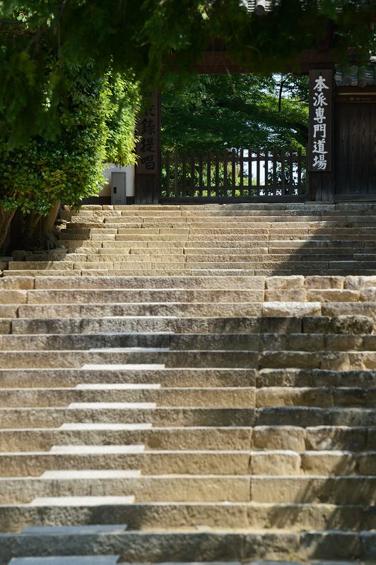 新緑巡り・東福寺 其の三_f0032011_18414061.jpg