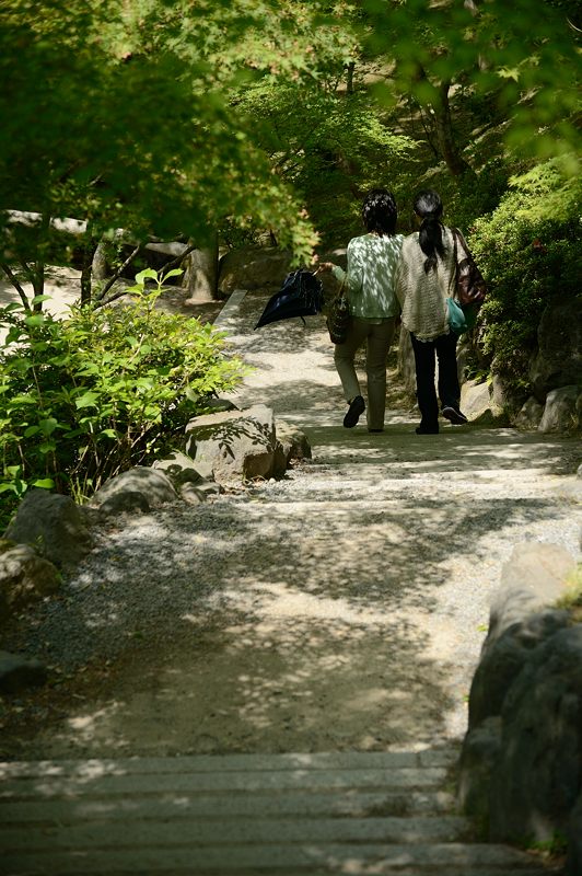 新緑巡り・東福寺 其の三_f0032011_18471189.jpg