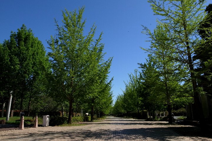 a0268412_23263326.jpg