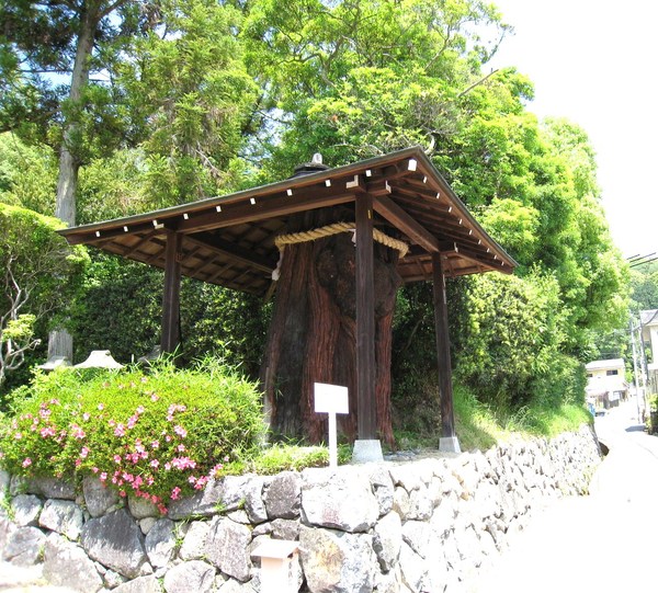 大神神社の若宮社と活日神社（いくひじんじゃ）_d0287413_0283551.jpg