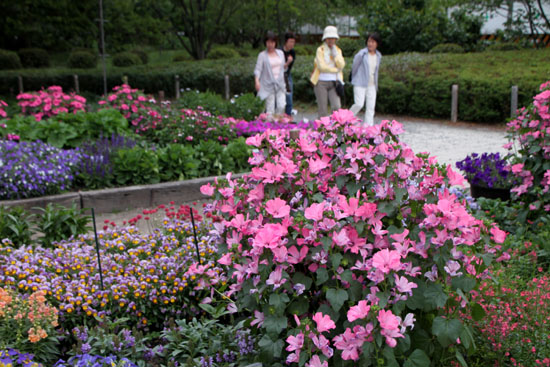 植物園　夏の花達1_e0048413_21211542.jpg