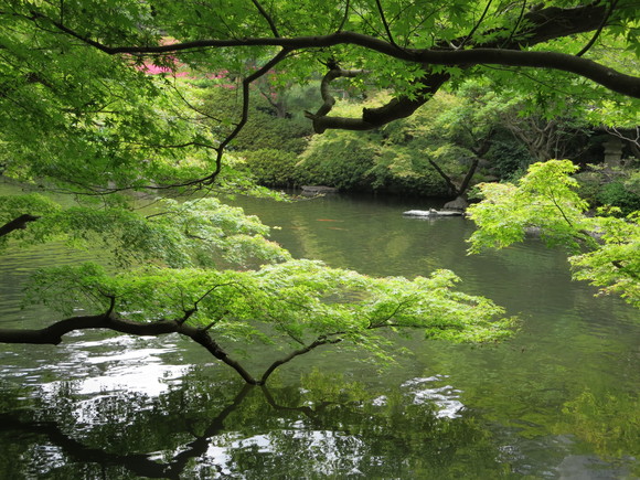 埼玉へ③お昼の後はスィーツですねぇ♪_b0093515_23125977.jpg