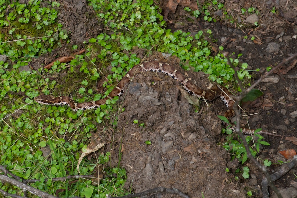 f0181821_17225178.jpg
