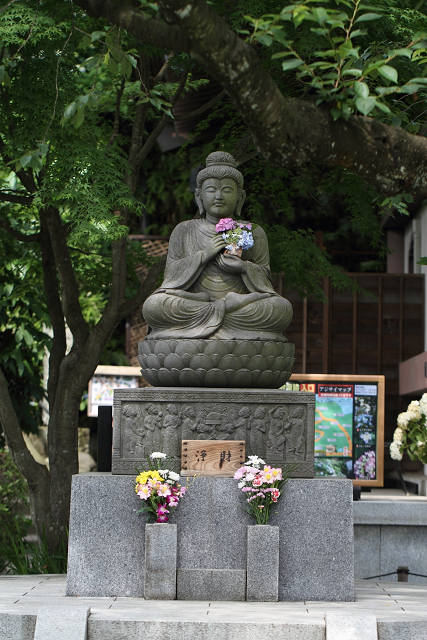 鎌倉散歩　#33 －紫陽花の長谷寺（上境内）－_b0169330_23252250.jpg