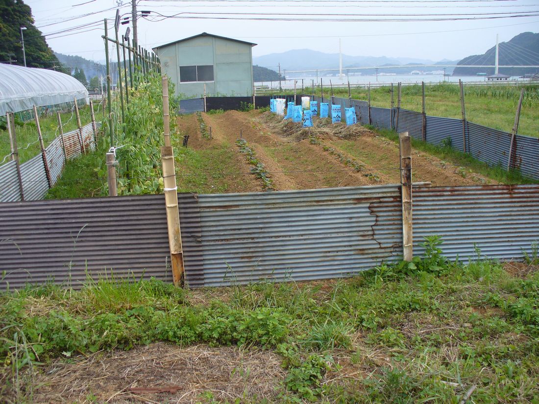 f0275632_21593776.jpg