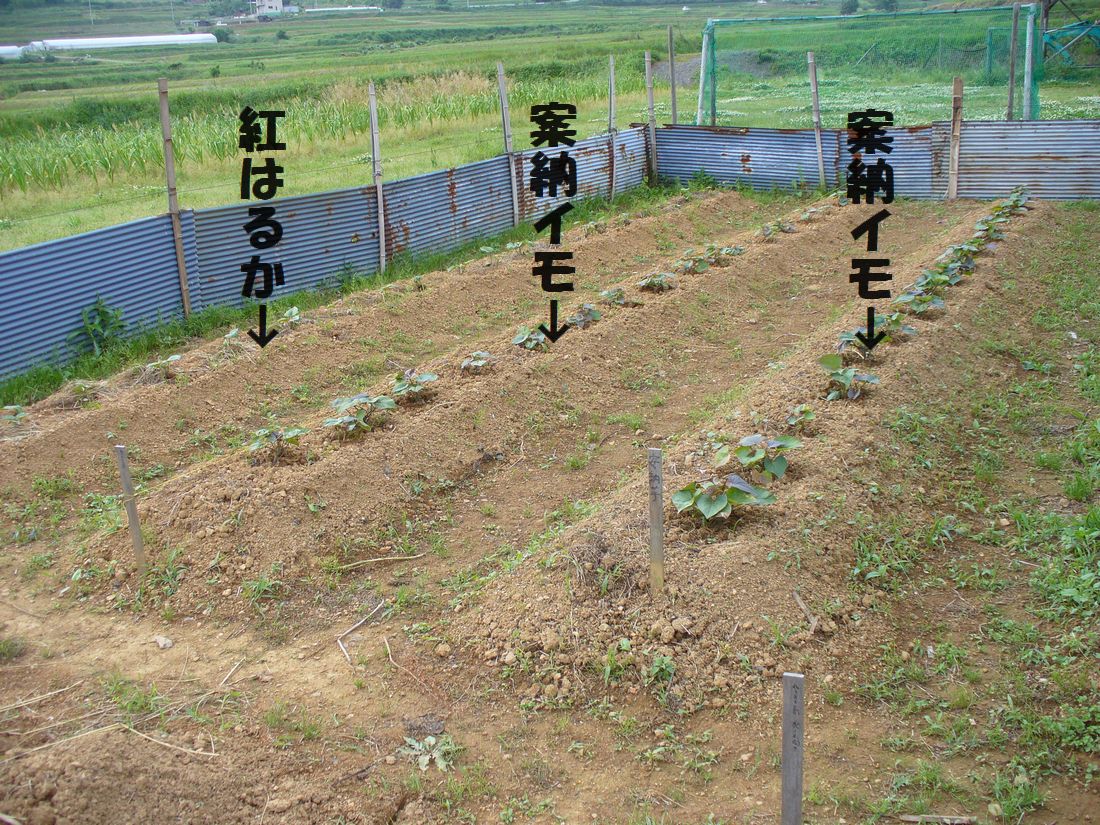 f0275632_2222288.jpg