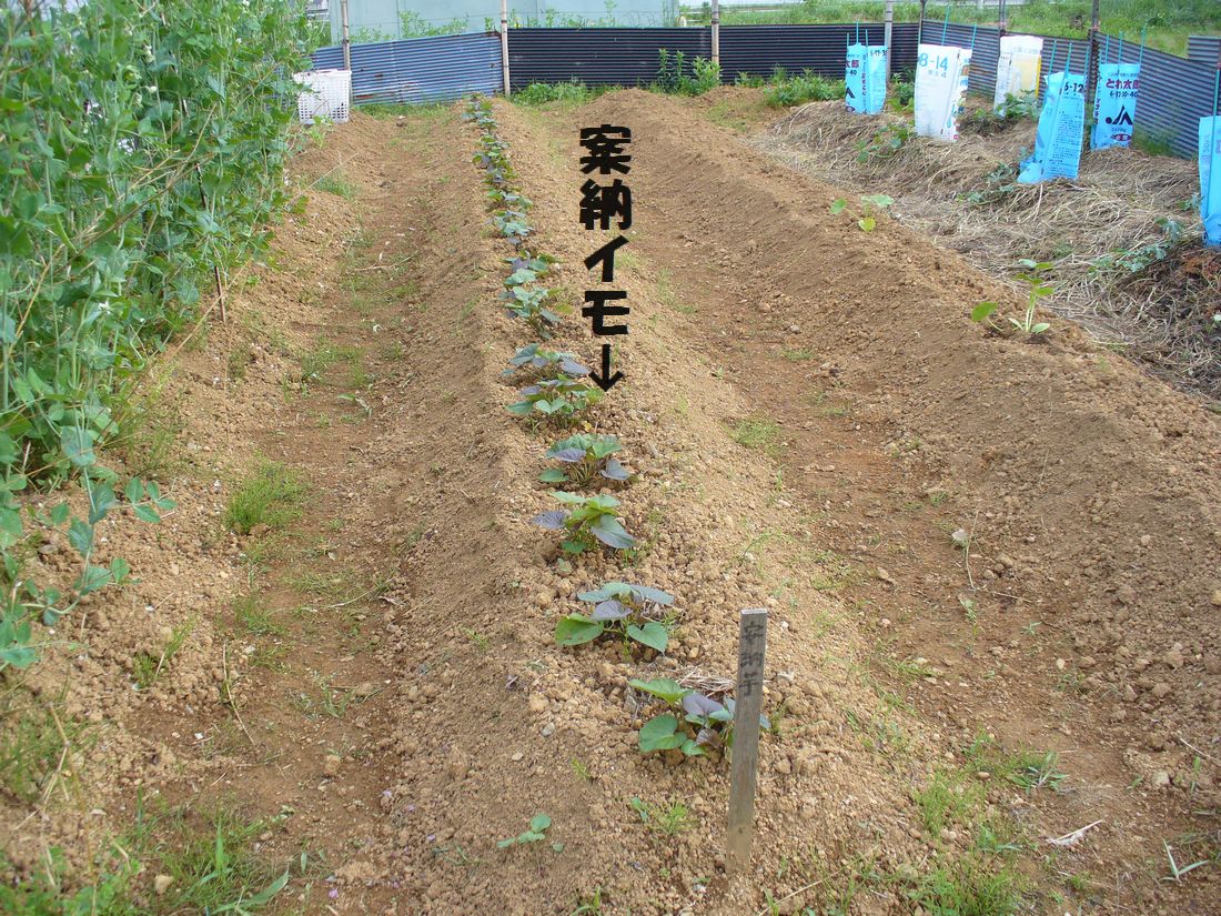 f0275632_2232151.jpg