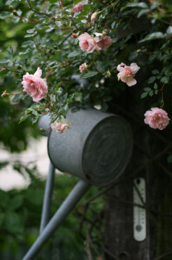 f0002534_21221561.jpg