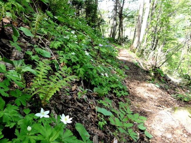d0235336_21173473.jpg