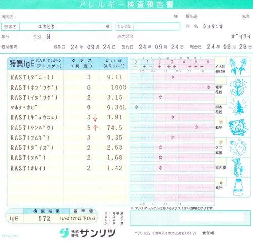 3度目のアレルギー検査結果_a0267942_1611583.png