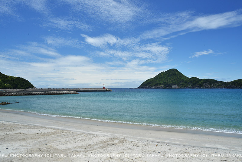 休日は休むべからず。_b0186442_2040292.jpg