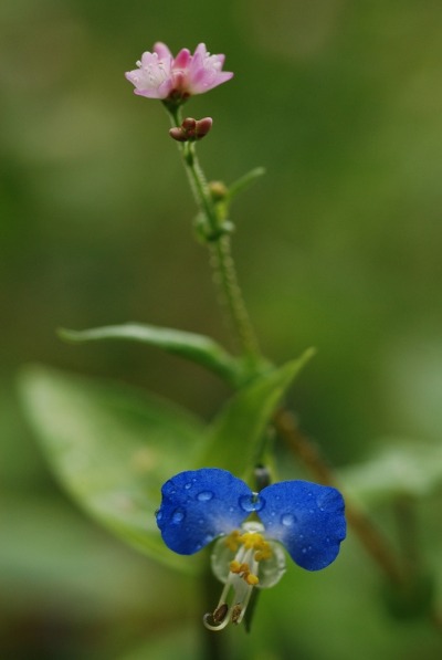 f0229844_2030229.jpg