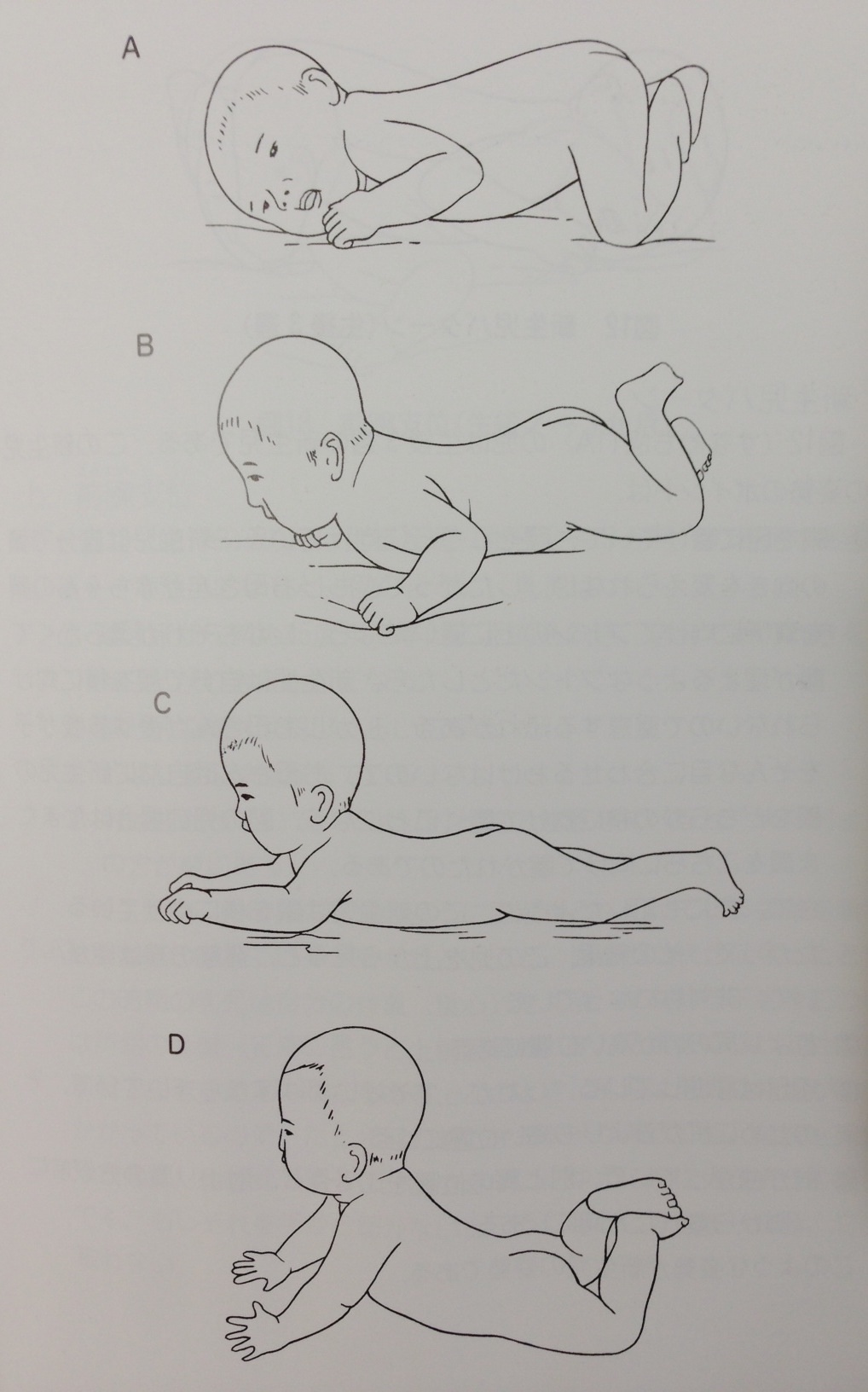 赤ちゃんの姿勢と発達 うつ伏せについて 京都発エイジレスビューティーに必要なこと