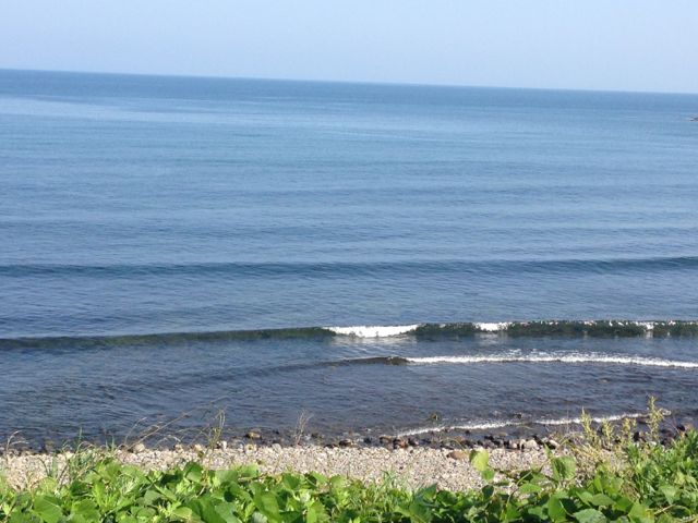 c0254151_1801938.jpg