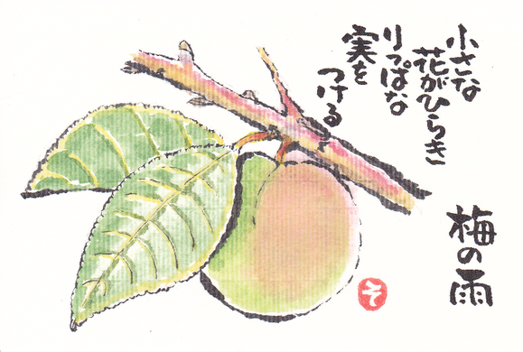 e0295551_081399.png