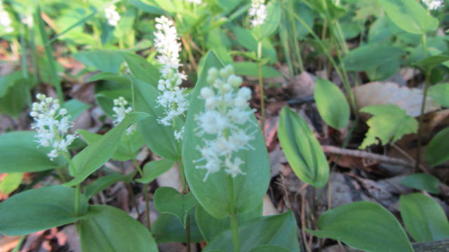 b0247153_10233450.jpg