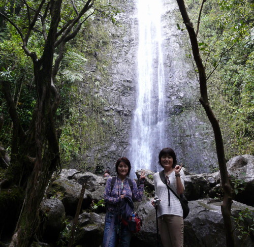 MANOA FALLS TRAIL_a0132260_16385248.jpg