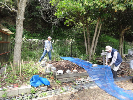 うみべの森の女王ササユリが開花中_c0108460_22593922.jpg