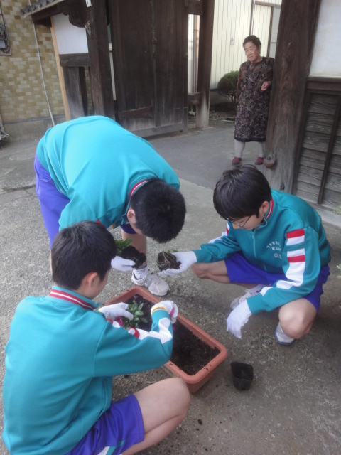 花いっぱい運動!_b0124462_23462640.jpg
