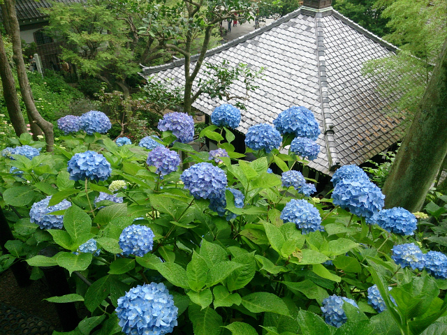 e0106372_94906.jpg