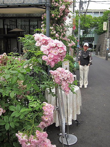 「海、たび旅」は続く……。_b0141773_23473882.jpg