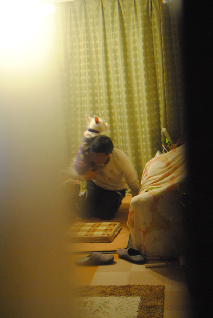 b0242873_7583773.png