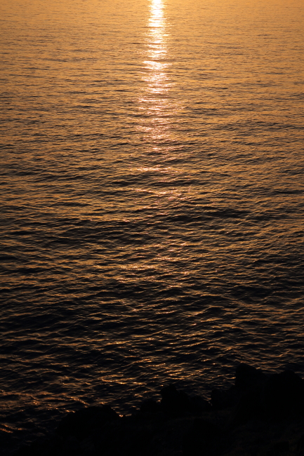c0054876_16445249.jpg