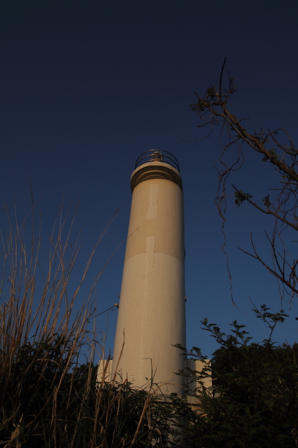 c0054876_16454916.jpg