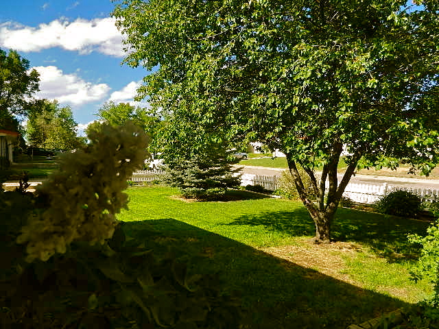 d0260278_818578.jpg
