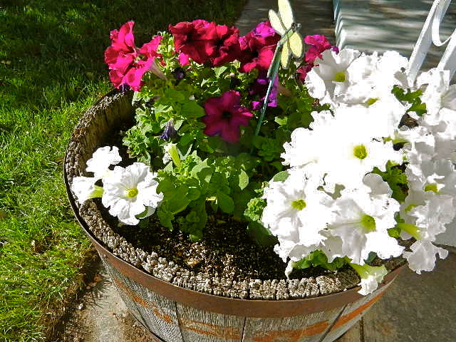d0260278_8234663.jpg