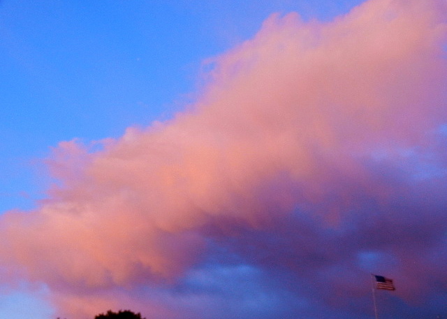 d0260278_835011.jpg