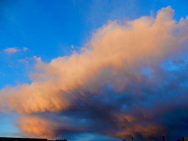 d0260278_8351617.jpg