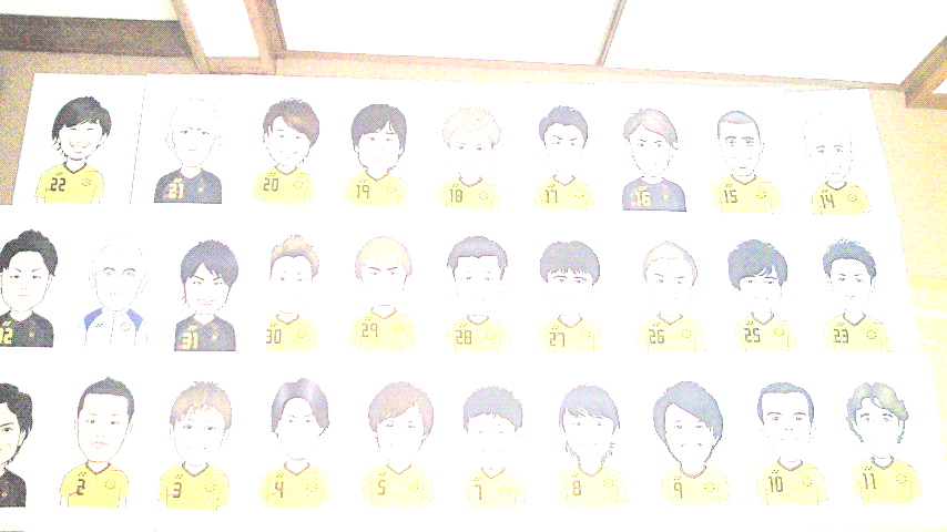 まっ黄色_e0105782_1753153.jpg