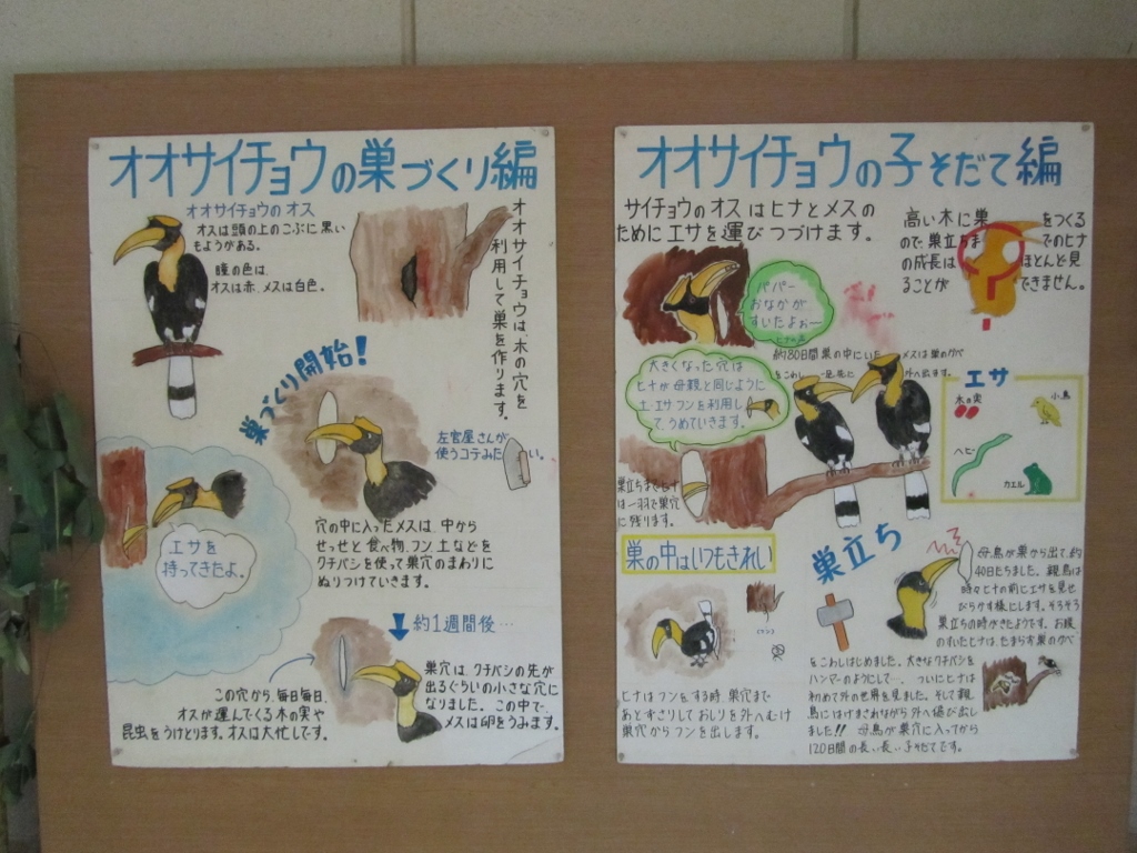 2013年5月 とべ動物園 ハープの徒然草 2013年5月 とべ動物園 ハープの徒然草