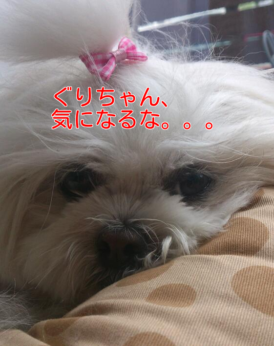 b0237894_1744218.png