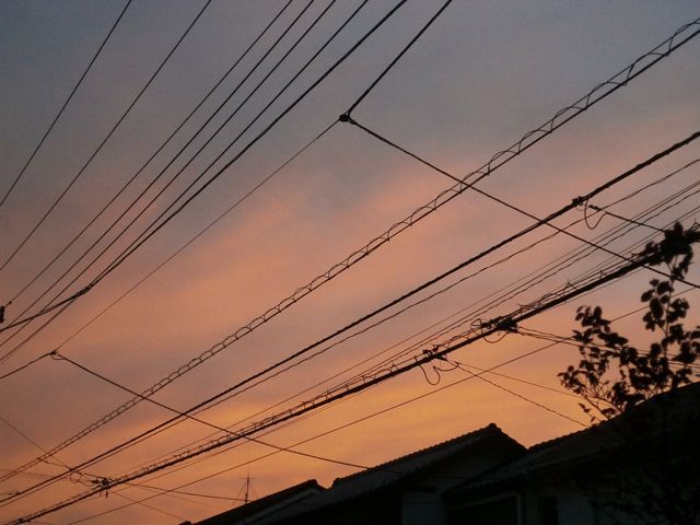 f0130894_2232423.jpg